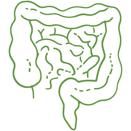 Digestive System Cleansing Diagram