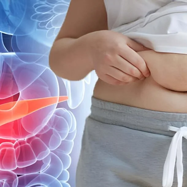 Obesity and Cancer Connection
